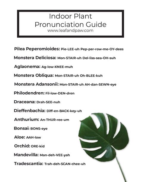 plant pronunciation guide audio.